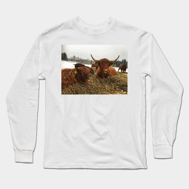 Scottish Highland Cattle Cow and Calf 1863 Long Sleeve T-Shirt by SaarelaHighland